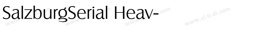 SalzburgSerial Heav字体转换 SalzburgSerial Heav字体转换